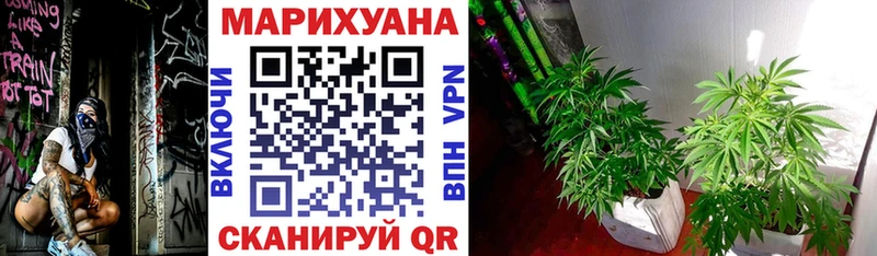 Виды наркотиков купить Заводоуковск БУТИРАТ Cocaine МЕФ Псилоцибиновые грибы Бошки Шишки Гашиш блэк спрут сайт АМФ A-PVP