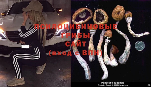 эйфоретик Алзамай