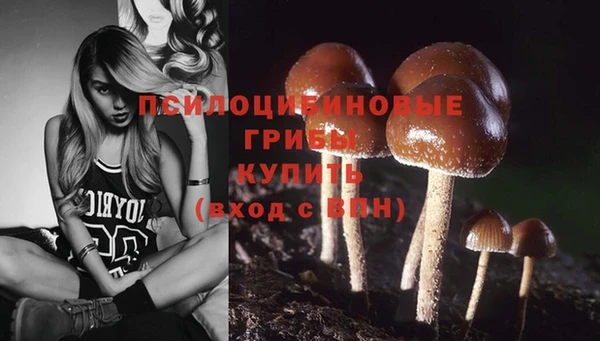 твердый Алексин