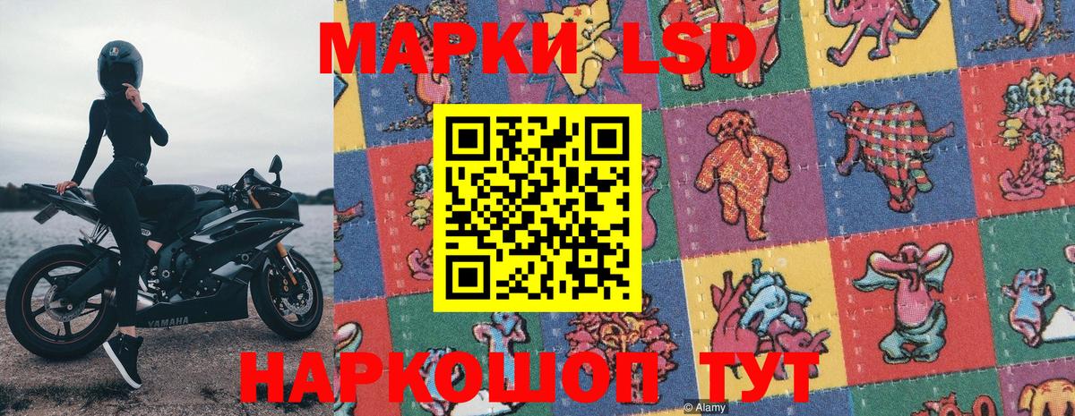 дарнет шоп  Вход с VPN  Марки NBOMe  Заводоуковск  Наркотические марки 1500мкг  Наркотические марки 1500мкг 