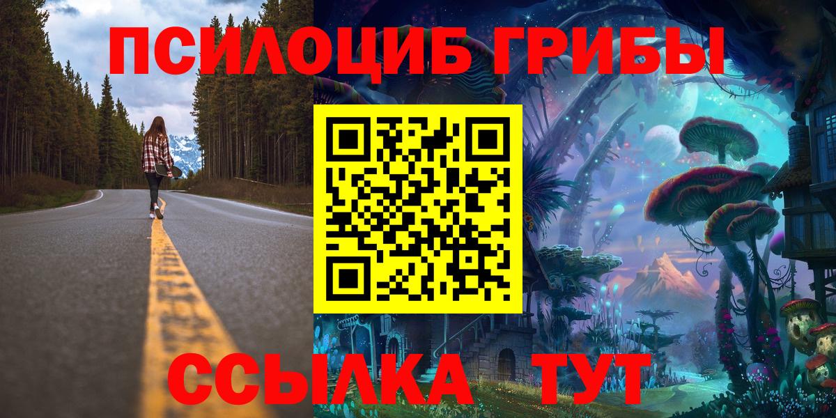 Псилоцибиновые грибы мицелий  Вход с VPN  купить наркоту  Заводоуковск 