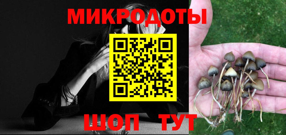 Псилоцибиновые грибы Cubensis Заводоуковск